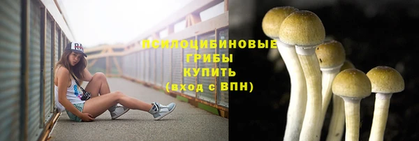 PSILOCYBIN Абдулино