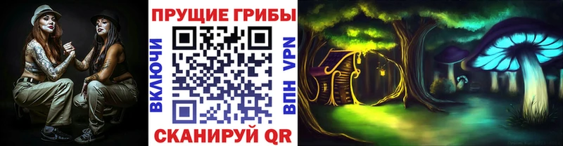 Галлюциногенные грибы Psilocybe  KRAKEN маркетплейс  Исилькуль 